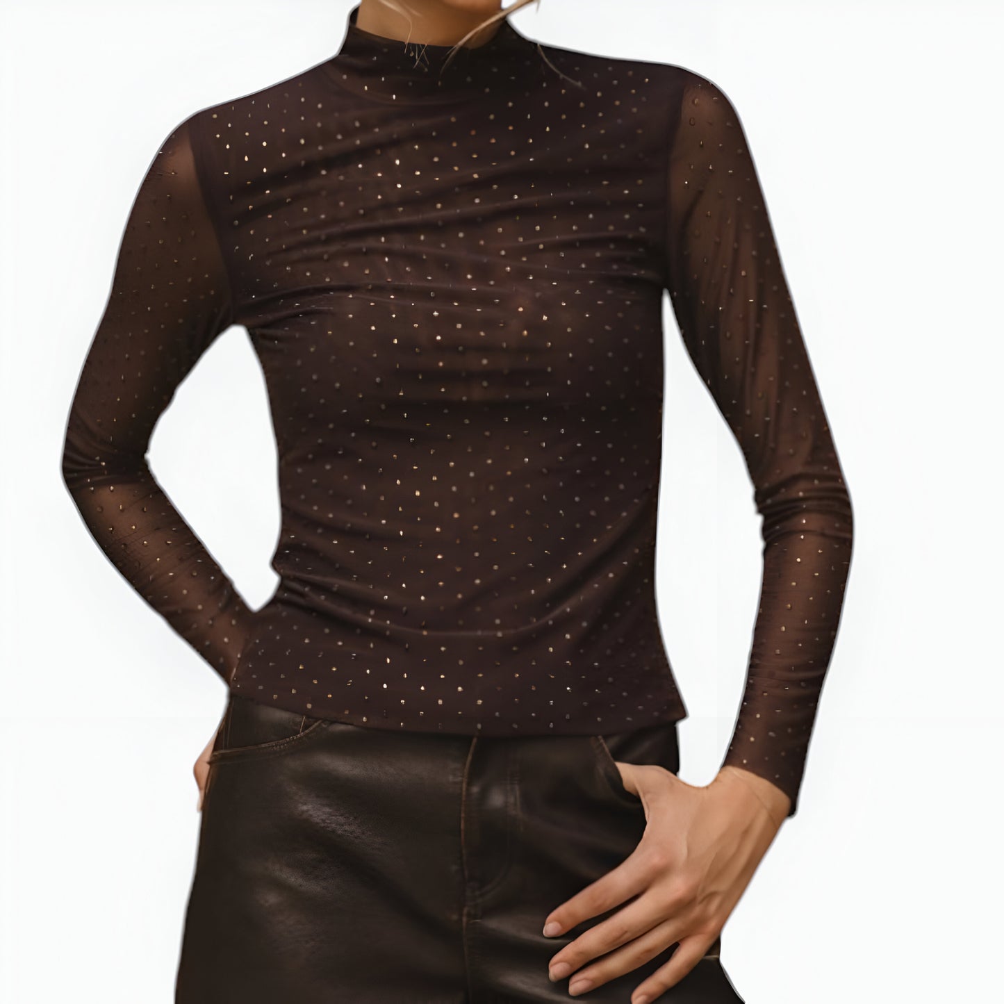 Sheer Mesh Long Sleeve Top with Sparkle Detail and Fitted Mock Neck