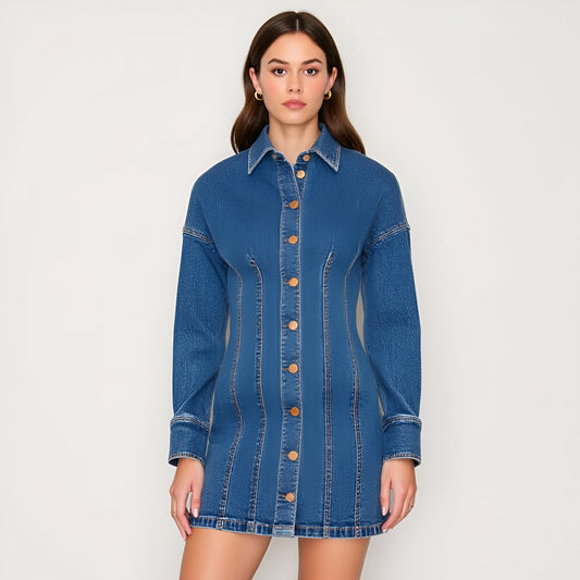 Denim Button Front Mini Dress with Long Sleeves and Contrast Seaming