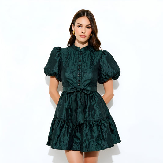 Textured Puff Sleeve Mini Dress with Button Front and Waist Tie